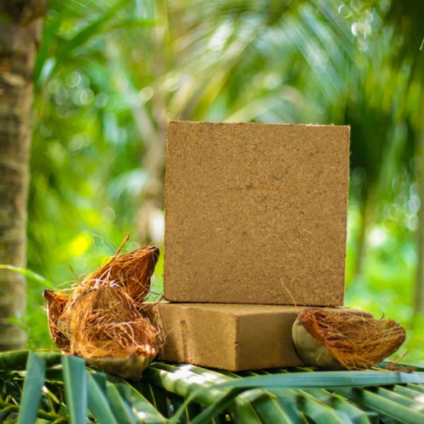 cocopeat