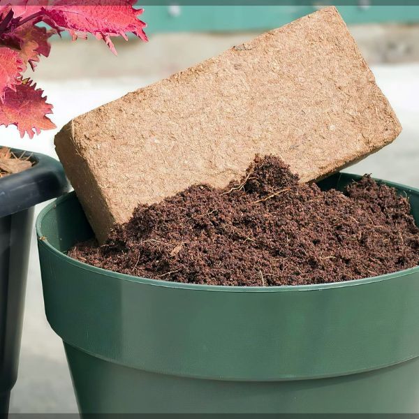 coir