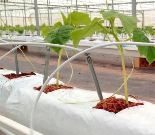 growbag