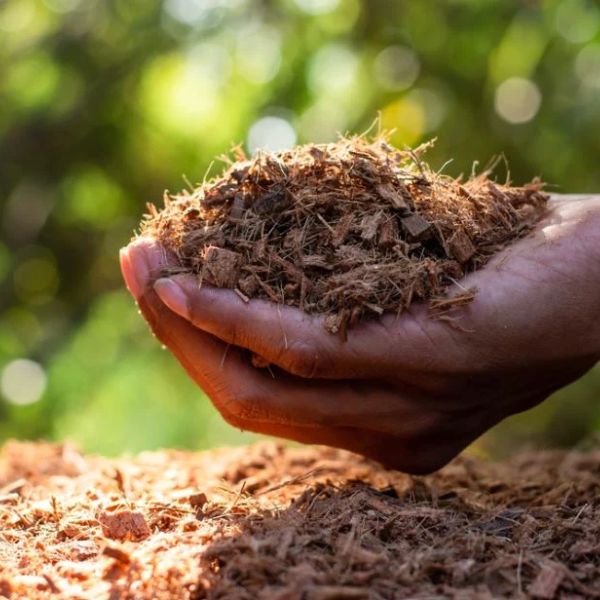coir